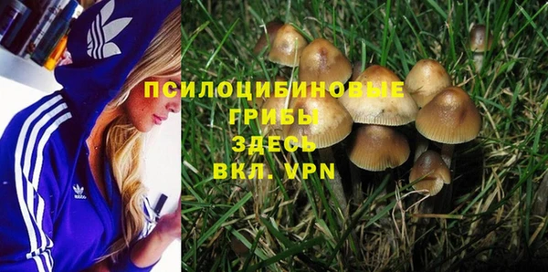 хмурый Алексеевка