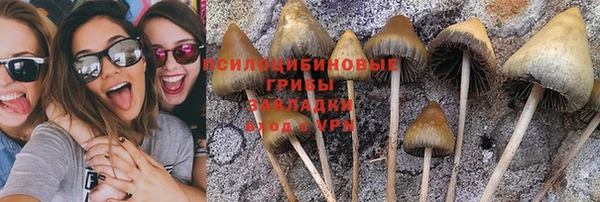 прущие крисы Алзамай