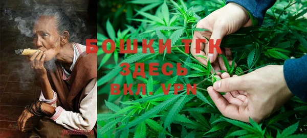 сатива Сатка