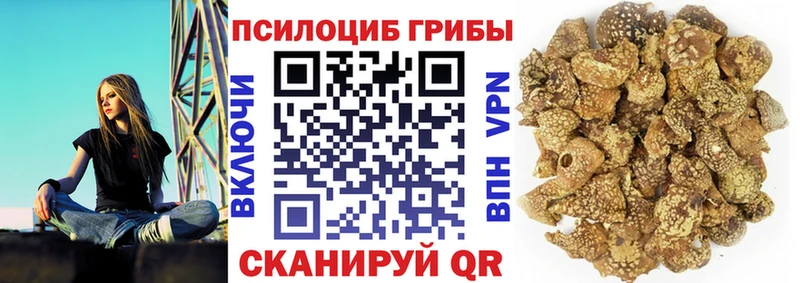 Псилоцибиновые грибы ЛСД  Любим 